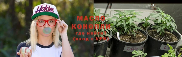 гашиш Новодвинск