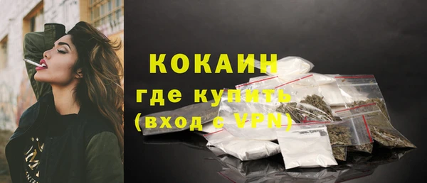 стаф Новокубанск