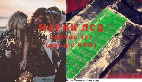 стаф Новокубанск