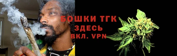 стаф Новокубанск