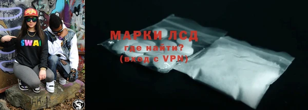 стаф Новокубанск