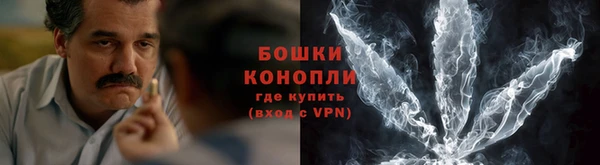стаф Новокубанск