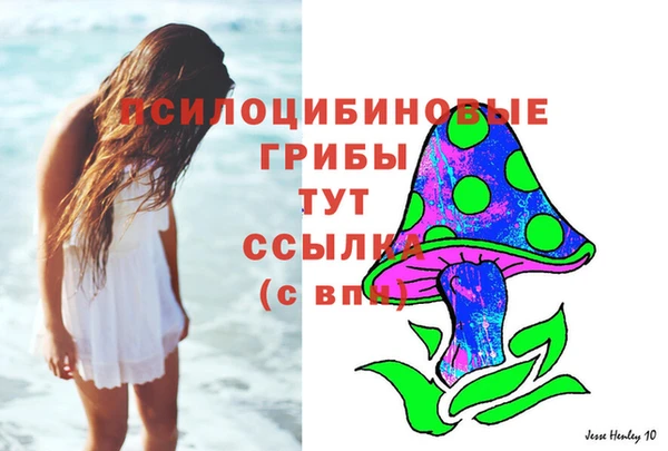 гашиш Новодвинск