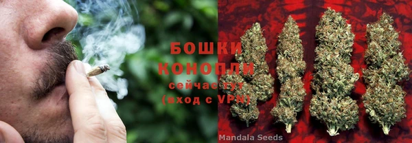 стаф Новокубанск