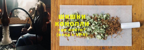 стаф Новокубанск