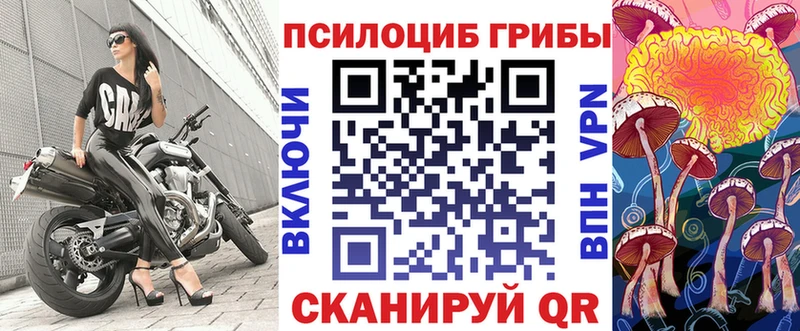 Галлюциногенные грибы Psilocybe  Солигалич 