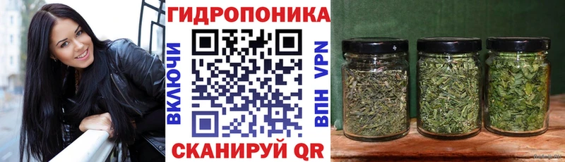 Шишки марихуана план  hydra ТОР  Солигалич  наркотики 