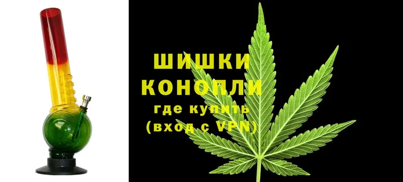 где можно купить наркотик  Солигалич  Шишки марихуана Ganja 